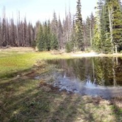 Red First Creek Pond